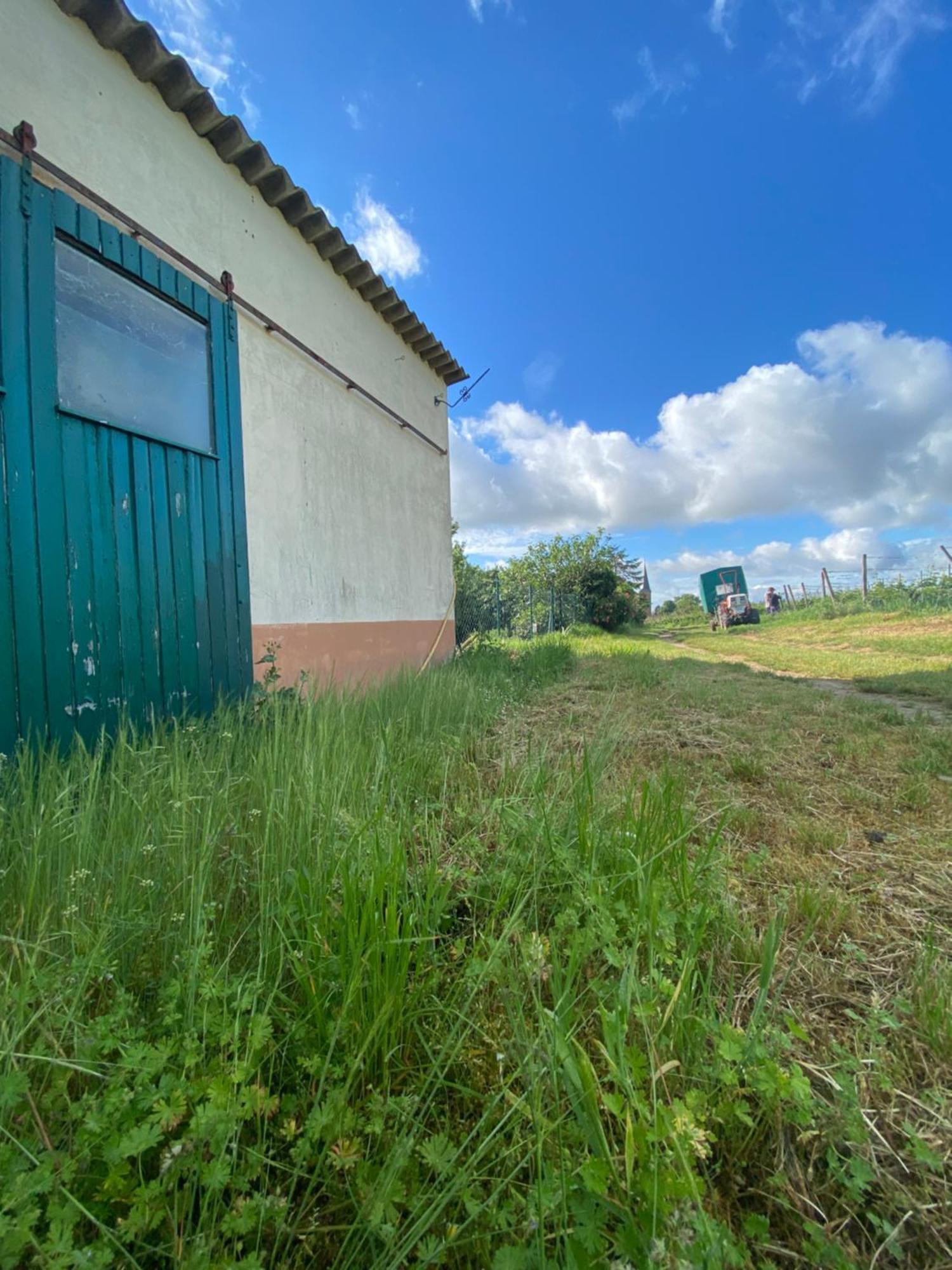 Zum Schockelgaul Gaestehaus Forst an der Weinstrasse Zewnętrze zdjęcie