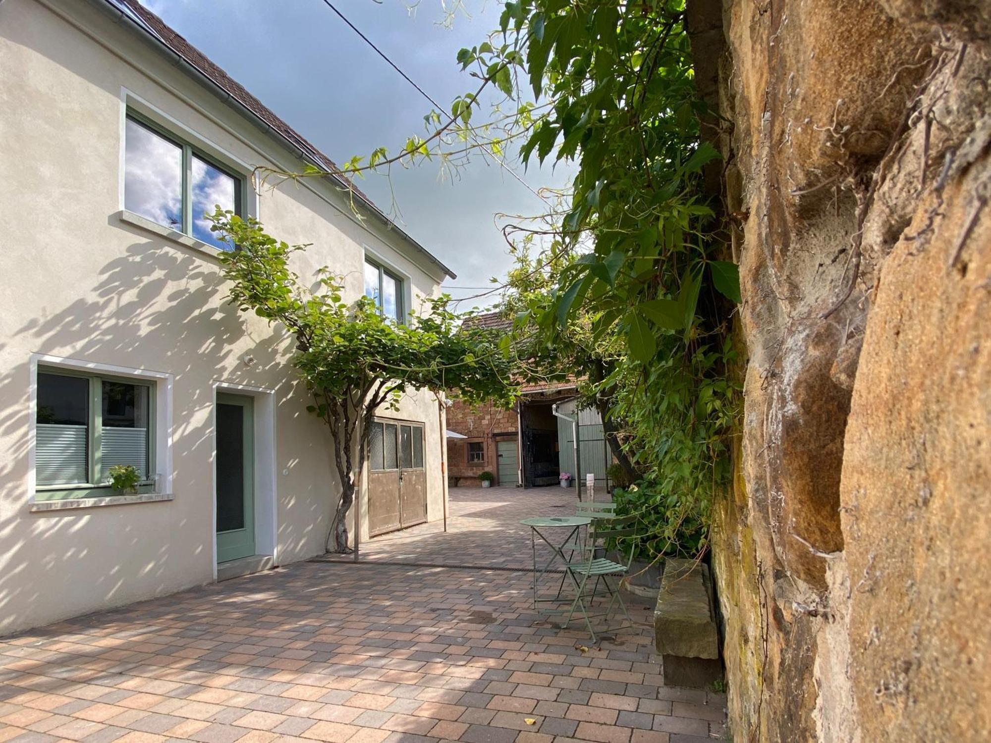 Zum Schockelgaul Gaestehaus Forst an der Weinstrasse Zewnętrze zdjęcie
